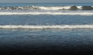 Screenshot 2025-06-09 202111