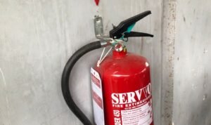 WhatsApp Image 2025-07-16 at 09.01.01