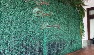 WhatsApp Image 2025-07-16 at 09.11.43