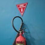 WhatsApp Image 2025-08-25 at 14.18.24