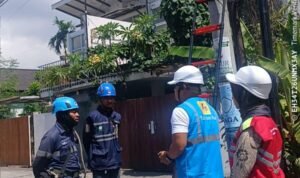 WhatsApp Image 2025-10-13 at 15.57.17