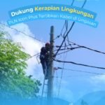 WhatsApp Image 2025-10-14 at 11.03.01