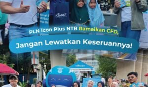 WhatsApp Image 2026-01-08 at 10.30.11