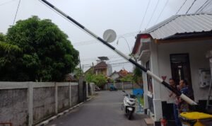 WhatsApp Image 2026-03-13 at 10.53.19